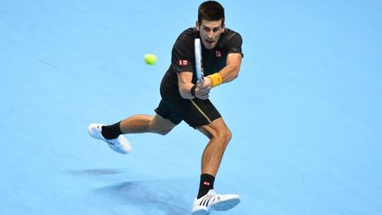 Le Serbe Novak Djokovic a remport&eacute; son second Masters face &agrave; Roger Federer le 12 novembre 2012 &agrave; Londres. (BEN STANSALL / AFP)