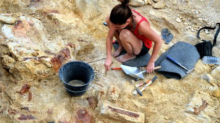 Illustration of an archaeological excavation site. (SOPHIE SPITERI / MAXPPP)