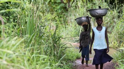 Des fermiers au Togo. (GODONG / BSIP)