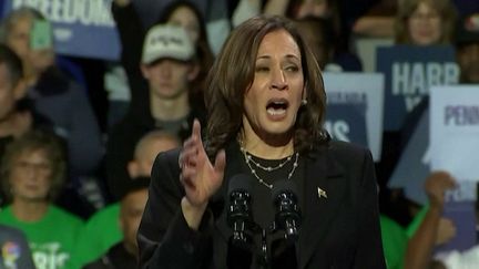 A trois semaines de l'élection présidentielle américaine, les campagnes de Kamala Harris et Donald Trump se poursuivent en Pennsylvanie où la candidate démocrate essaye de discréditer son adversaire républicain. (franceinfo)