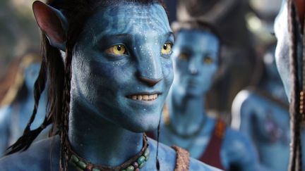 Une image d'"Avatar", de James Cameron
 (Archives du 7e art / Photo 12 / AFP)