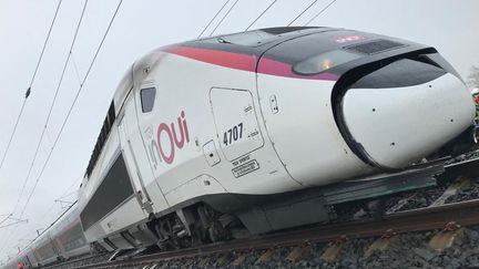 La locomotive d'un TGV reliant&nbsp;Colmar-Strasbourg-Paris le 5 mars a déraillé en raison de l'affaissement d'un talus jouxtant la voie. (SNCF)