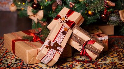 &nbsp; (A Noël, les cadeaux déposés au pied du sapin ne font pas que des heureux...© Fotolia)