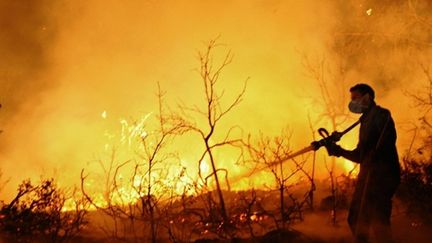 Un pompier israélien combat le gigantesque incendie qui ravage la forêt du mont Carmel, en Israël, le 3 décembre 2010. (AFP/DAVID BUIMOVITCH)