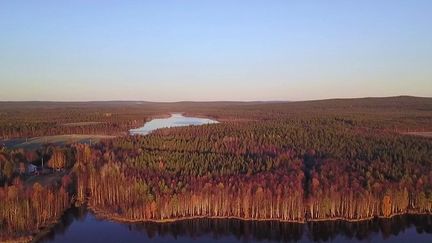 Suède : les forêts vont-elles disparaître pour lutter contre le réchauffement climatique ? NOUVELLE VERSION