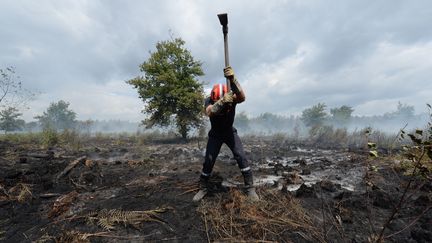 Les flammes sont &eacute;teintes, mais l'incendie n'est pas stopp&eacute; pour autant. Les sapeurs-pompiers doivent s'attaquer au sol encore chaud pour &eacute;teindre les braises et &eacute;viter toute reprise. Le vent est particuli&egrave;rement redout&eacute; par les soldats du feu durant les quatre jours. (MEHDI FEDOUACH / AFP)