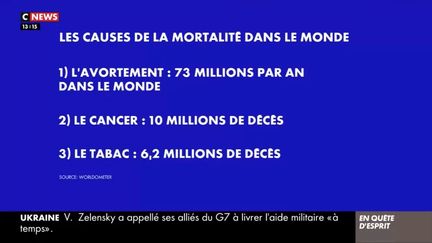 CNews a présenté ses excuses après la diffusion de cette infographie suscitant l'indignation. (capture d'écran CNews)