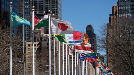 Les drapeaux des pays membres flottent devant le siège de l'ONU à New York, le 1er avril 2019. (RALF HIRSCHBERGER / DPA)