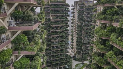 Une vue aérienne du&nbsp;projet immobilier&nbsp;à Chengdu en Chine qui a été infesté par les moustiques, le 15 septembre 2020. (SUNLING / COSTFOTO)