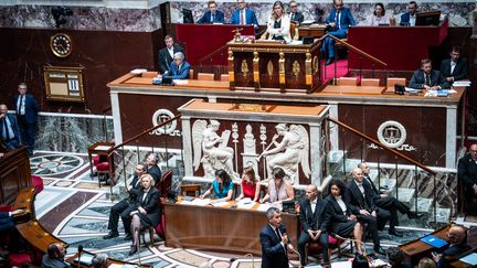 L'Assemblée naitonale lors d'une session de Questions au Gouvernement le 11 juillet 2023 à Paris. (XOSE BOUZAS / HANS LUCAS / AFP)