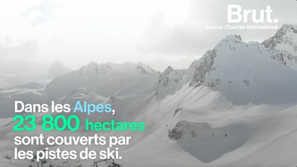 La France est une des premières destinations mondiales de ski. Pourtant cette activité est loin d'être écologique.