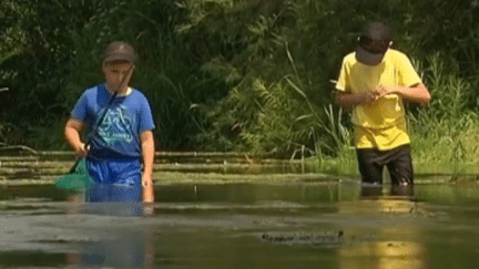 À la découverte de la pêche à la brouillée