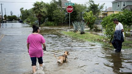 Une femme promène un chien à Galveston, au Texas (Etats-Unis), le 26 août 2017.&nbsp; (BRENDAN SMIALOWSKI / AFP)