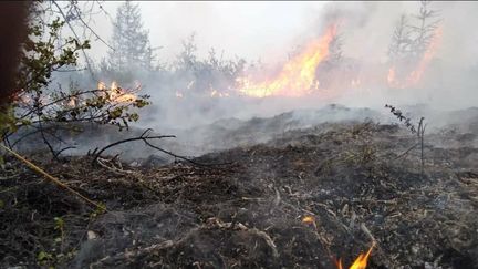 Incendie naturel en Yakoutie en Russie au mois de juillet 2020. (EMERCOM OF RUSSIA PRESS SERVICE / HANDOUT / MAXPPP)