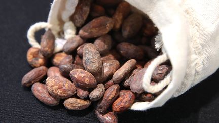 Pour un bon chocolat, il faut dès le départ une bonne fève de cacao. (VINCENT VOEGTLIN / MAXPPP)