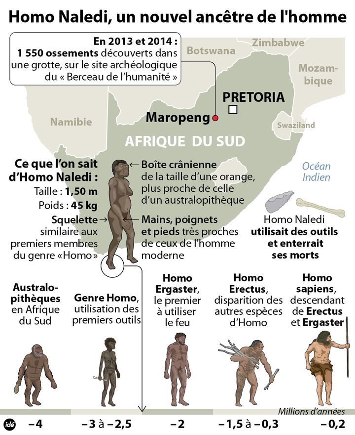 &nbsp; (Homo Naledi, un nouvel ancêtre © Idé)