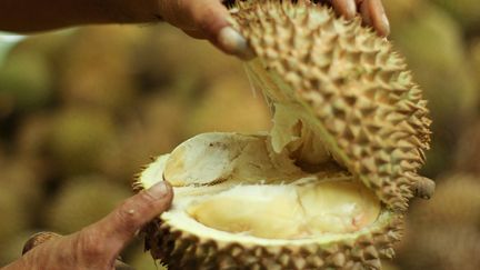 Le durian est un fruit très prisé en Asie dont la particularité est de dégager une odeur nauséabonde (photo d'illustration). (RAHMAD SURYADI / AFP)