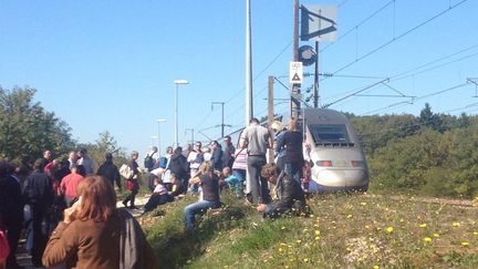 &nbsp; (Les voyageurs du TGV Marne-la-Vallée ont été évacués au bord des voies ©)