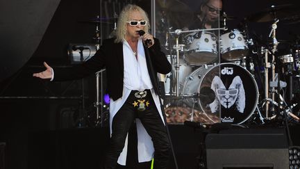 Michel Polnareff sur la scène du festival des Vieilles Charrues le 15 juillet 2016 à Carhaix (Finistère). (MAXPPP)