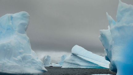 &nbsp; (Les défenseurs de l'environnement ont demandé aux dirigeants internationaux de créer deux vastes sanctuaires marins dans l'Antarctique © MaxPPP)