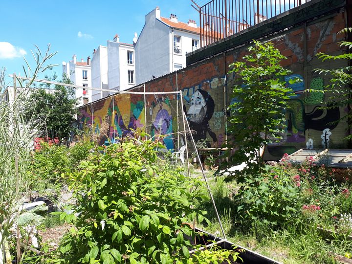 Le jardin éphémère des Coutures à Bagnolet, en Seine-Saint-Denis. (ARIANE SCHWAB / RADIO FRANCE)