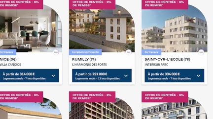 Immobilier : des logements neufs à prix réduits sur internet (France 2)