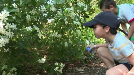 Pâques : les joies de la chasse aux œufs pour les enfants