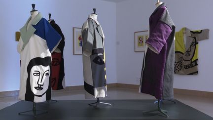 Les costumes sont exposés devant les peintures de Fernand Léger qui ont servi de modèles (France 3 Côte d'Azur)