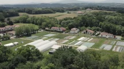 Un documentaire s'immerge dans une prison pour femmes pas comme les autres.