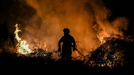 Un pompier combat les flammes, le 15 juillet 2022, à Eiriz (Portugal). (PATRICIA DE MELO MOREIRA / AFP)