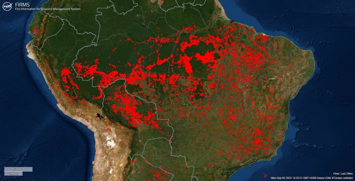 Cette vue par satelitte&nbsp;montre les incendies en cours au Brésil, le 5 septembre. Chaque point rouge représente un feu. (Capture d'écran Fire Information for Resource Management System (FIRMS))