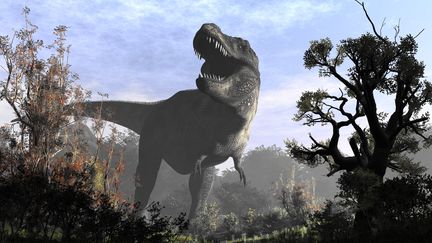 Une représentation du Tyrannosaurus Rex.&nbsp; (RAUL LUNIA / AFP)
