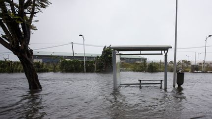 Ouragan Maria : la Guadeloupe soigne ses plaies