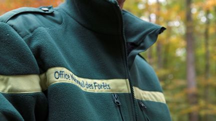 Un agent de l'ONF dans une forêt à&nbsp;Saint-Bonnet-Tronçais (Allier). (THIERRY ZOCCOLAN / AFP)