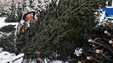 Les sapins de Noël sont issus d'une production agricole raisonnée (GETTY IMAGES)