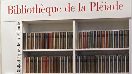 Des ouvrages de la bibliothèque de la Pléiade. (PIERRE-FRANCK COLOMBIER / AFP)