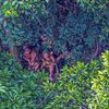 Les "Indiens isolés du cours supérieur de la rivière Humaitá", photographiés par Ricardo Stuckert le 18 décembre 2016 dans l'Etat d'Acre au Brésil.&nbsp; (RICARDO STUCKERT)