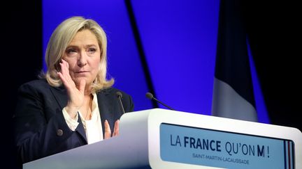 Marine Le Pen : "L’immigration est devenue totalement anarchique et massive dans notre pays depuis des années"