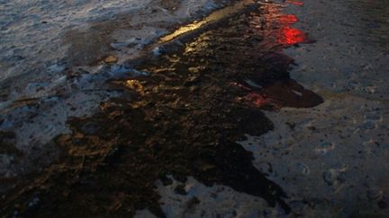 Nappe de pétrole dans le Golfe du Mexique le 4 juillet 2010 (AFP Gettty images)