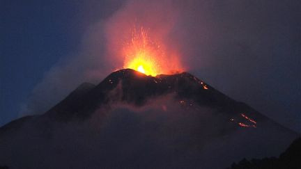 Une &eacute;ruption de l'Etna, en Sicile (Italie), le 17 novembre 2013.&nbsp; (DARIO AZZARO / AFP)