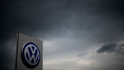 &nbsp; (La ministre de l'Ecologie annonce une enquête sur Volkswagen en France. © Maxppp)