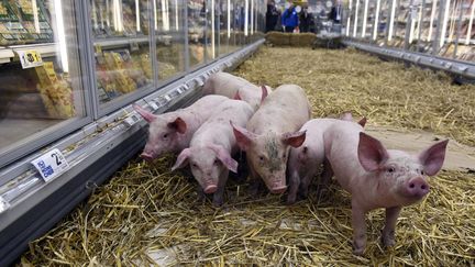 Pourquoi le porc français est-il moins compétitif ?