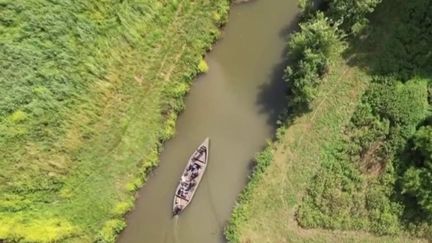 Tourisme : à la découverte du marais audomarois dans le Pas-de-Calais