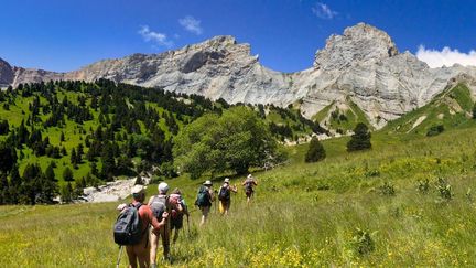 Une rando-nue organisée sur les hauteurs de la Cluse, dans le pays Diois, à l'été 2021 (Hautes-Alpes). (ASSOCIATION DES MARCHEURS NUS DU VAL DE ROANNE)