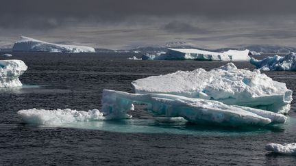 La banquise près de l'île Paulet, en Antarctique, le 13 octobre 2022. (SERGIO PITAMITZ / BIOSPHOTO / AFP)