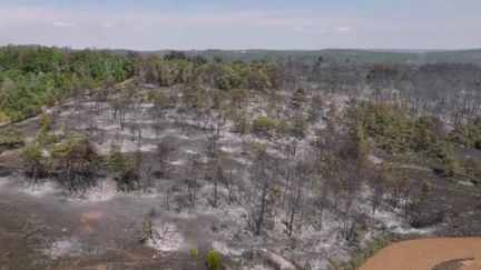 Incendie en Aveyron :&nbsp;les flammes et les fumées toxiques menacent les habitations, près de 3 000 personnes évacuées. (FRANCE 2)