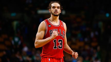 Joakim Noah, joueur des Chicago Bulls, &agrave; Boston (Etats-Unis), le 30 mars 2014. (JARED WICKERHAM / GETTY IMAGES NORTH AMERICA / AFP)