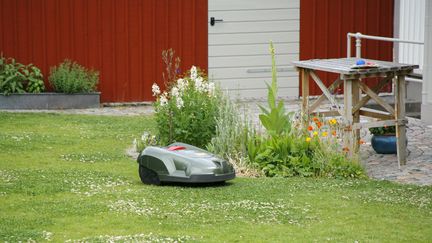 Tondeuse à gazon autonome. Image d'illustration.&nbsp; (ANDRE MASLENNIKOV / BIOSPHOTO)