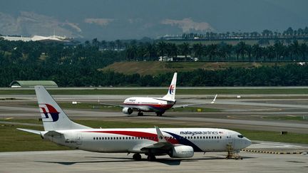 Des avions de la Malaysia Airlines &agrave; Kuala Lampur (Malaisie), le 20 juillet 2014. (MANAN VATSYAYANA / AFP)