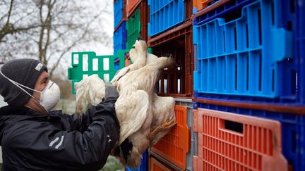 Un éleveur de canards, le 13 janvier 2021 à Mugron (Landes). (ALAIN PITTON / NURPHOTO / AFP)